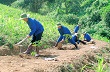 Công ty Cổ phần Cao su Điện Biên: Trên 92% cây cao su trồng mới phát triển tốt